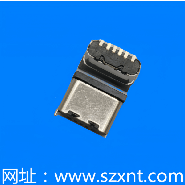 東莞TYPE C 6P 立式貼片